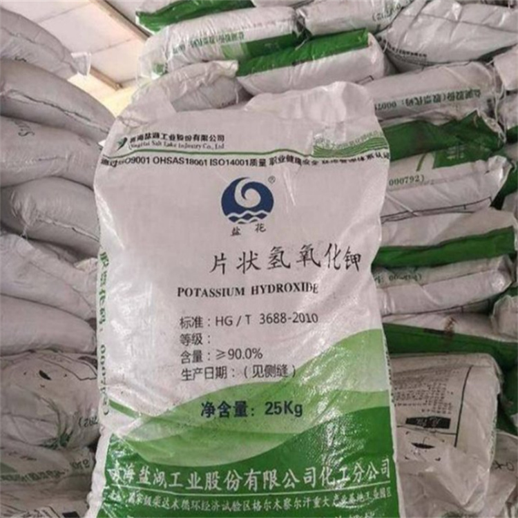 又骚又色有爽的操逼网站